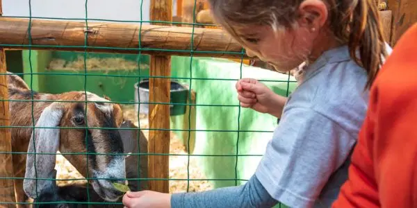 Natureza - Casinha Pequenina